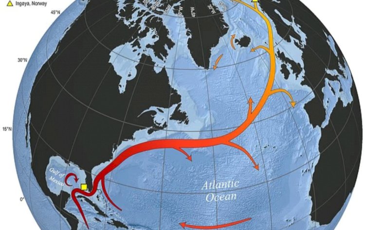 تيار الخليج يقترب من الانهيار.. تحذير علمي من تجمّد أوروبا وتغيرات مناخية كارثية