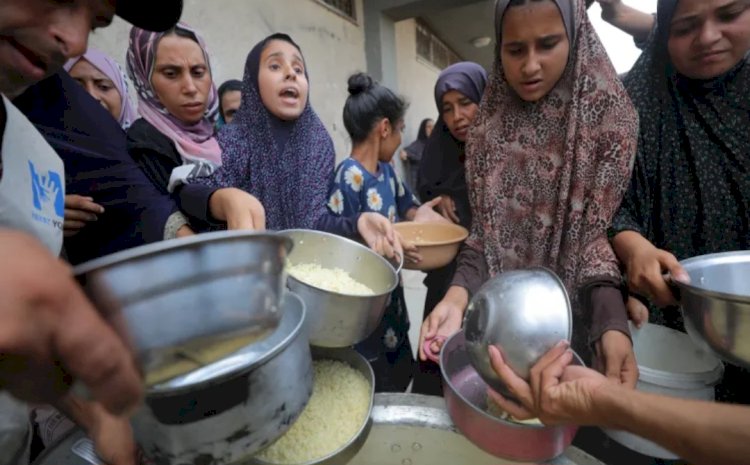 100 منظمة دولية تكشف جرائم إسرائيل في غزة.. الاحتلال رفض 60 طلبًا لإدخال المساعدات