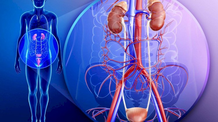 الأعراض والأسباب وطرق العلاج.. دليل شامل للتعامل مع التهاب المسالك البولية