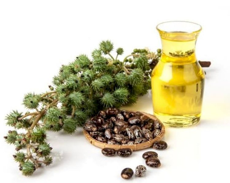 فوائد زيت الخروع للشعر