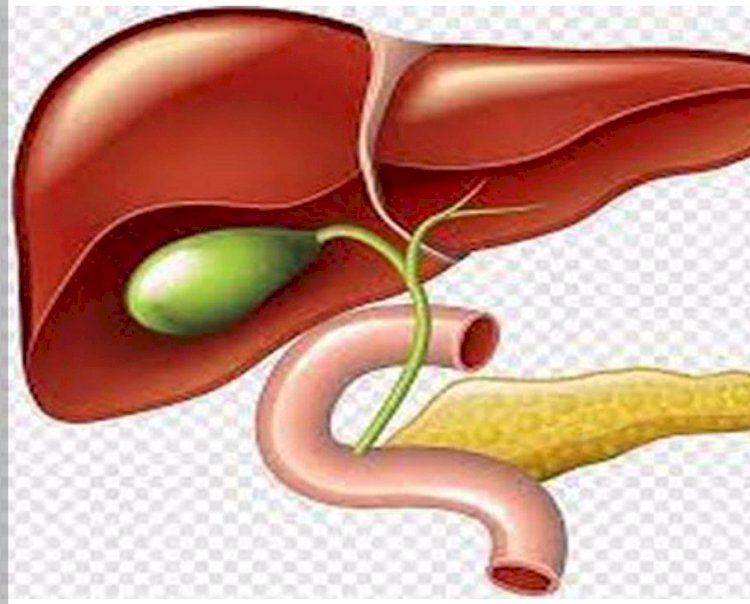 ارتفاع انزيمات الكبد.. الأسباب وطرق الوقاية